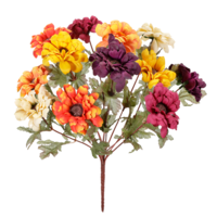 Zinnien-boeket