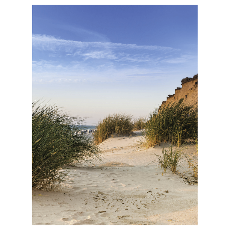 "XXL Banner ""Beach Dune"""
