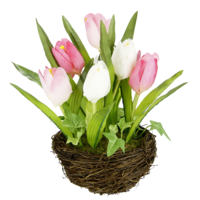 "Tulip in nest pink 13 cm Ø, 25 cm"