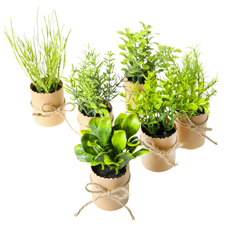 Kruidenset 6 dlg 15cm hoog