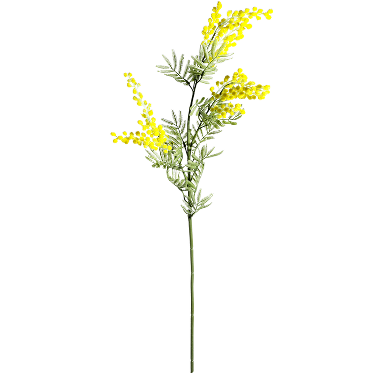 Mimose 84cm
