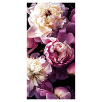 Banner  Pfingstrosenbl
