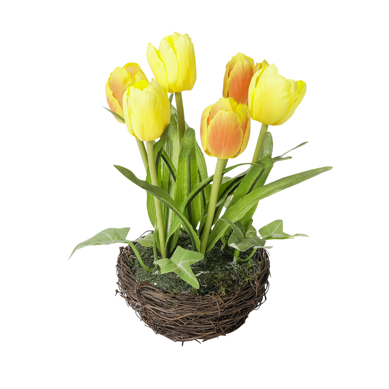 "Tulip in nest yellow 9 cm Ø, 20 cm"
