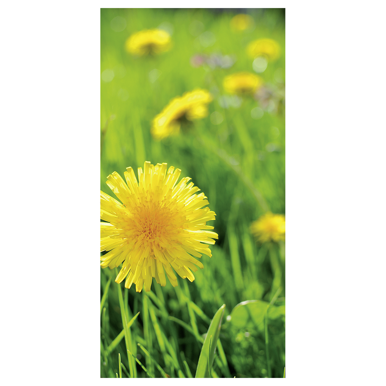 "Fabric banner ""yellow dandelion"" 100 x 200 cm"