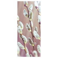 "Fabric banner palm catkin made of flag fabric 75 x 180 cm"