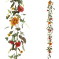Gerbera 183cm