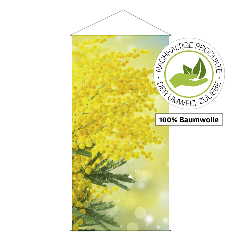 Banner 100x200cm Rapsbl