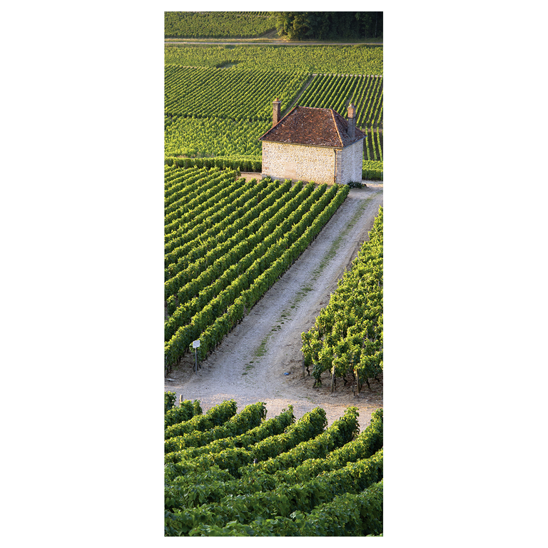 "Winery fabric banner 75 x 180 cm"