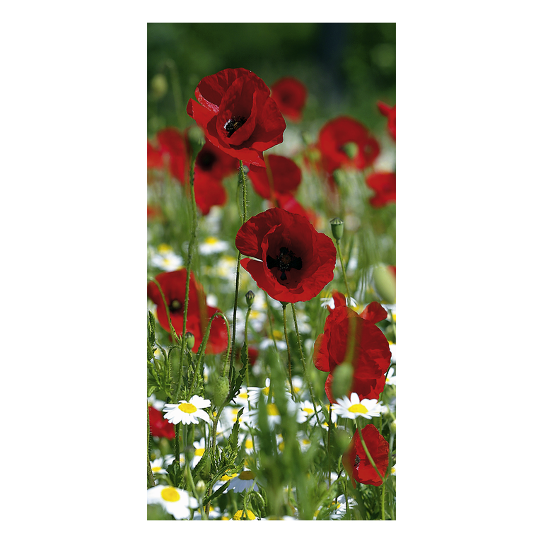  Banner  aus  Polyester  Mohn  200  cm