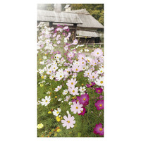 Banner  Rosa  &  Pinke  Flowergarden