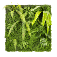 "Artificial exotic panel 100 x 100 cm green"
