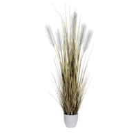 Schilfgras im Topf,beige,110cm