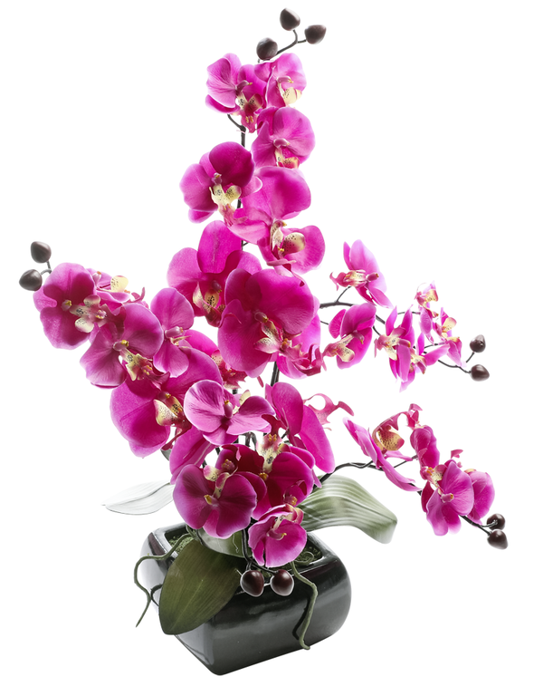 Orchidee in Schale,40x36cm