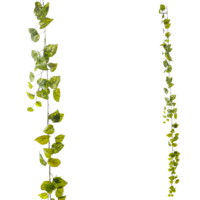 "Artificial ivy pothos hanger 170 cm green"
