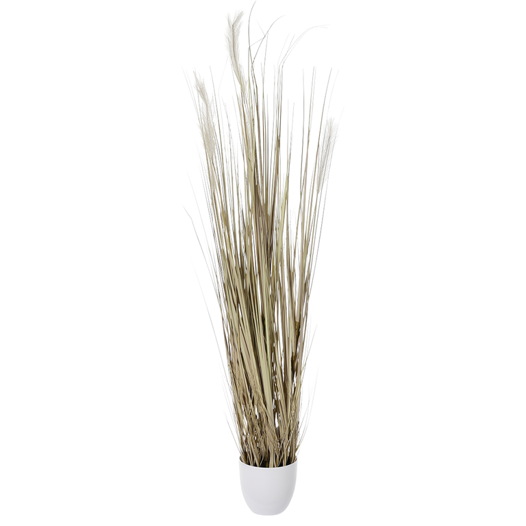 Grasarrangement 150cm, WS Topf 