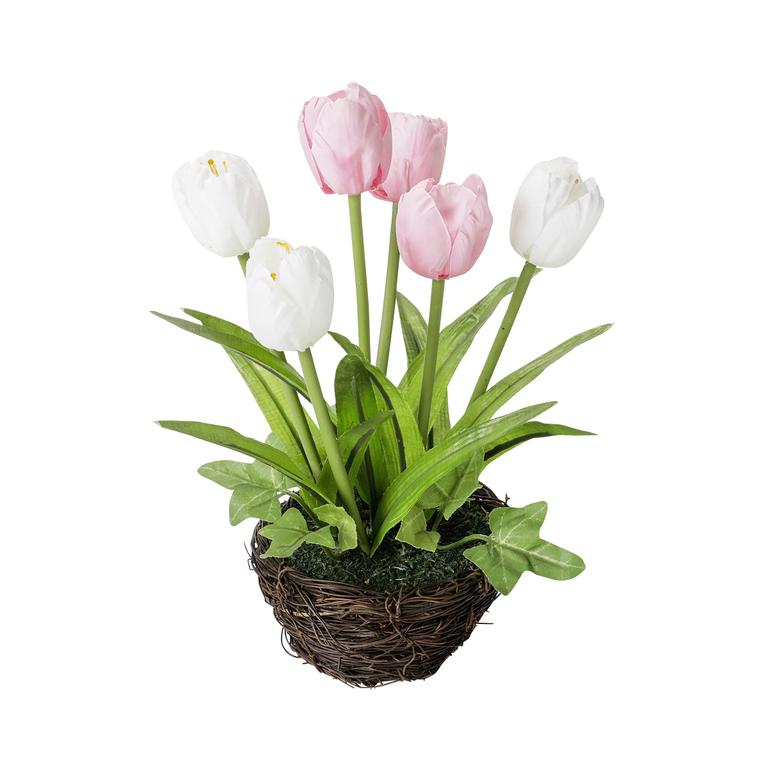 "Tulip in nest pink 9 cm Ø, 20 cm"