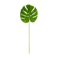 "Deco philo leaf 43 x 95 x 103 cm green"