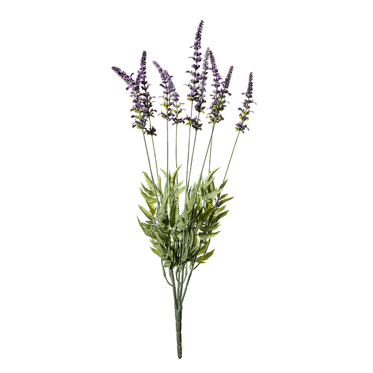 Lavendelbund  55x25cm  (HxB)