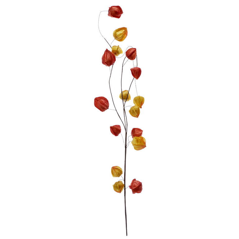 Physalis-Zweig 80cmH