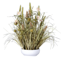 Trockenblumen-Gesteck im Topf
