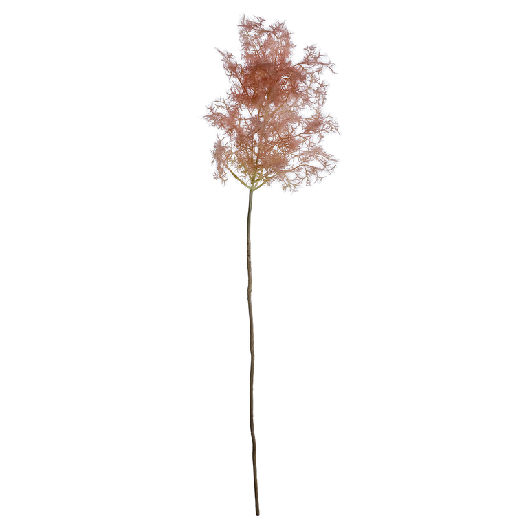 Dekoschilf Pampas rosa,90cm