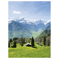 "XXL banner ""Alpine meadow with mountain pasture"""
