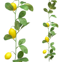 "Artificial lemon vine 180 cm long"