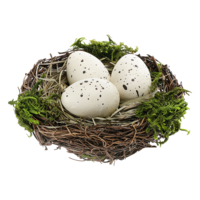 Deko  Nest  mit  Eiern