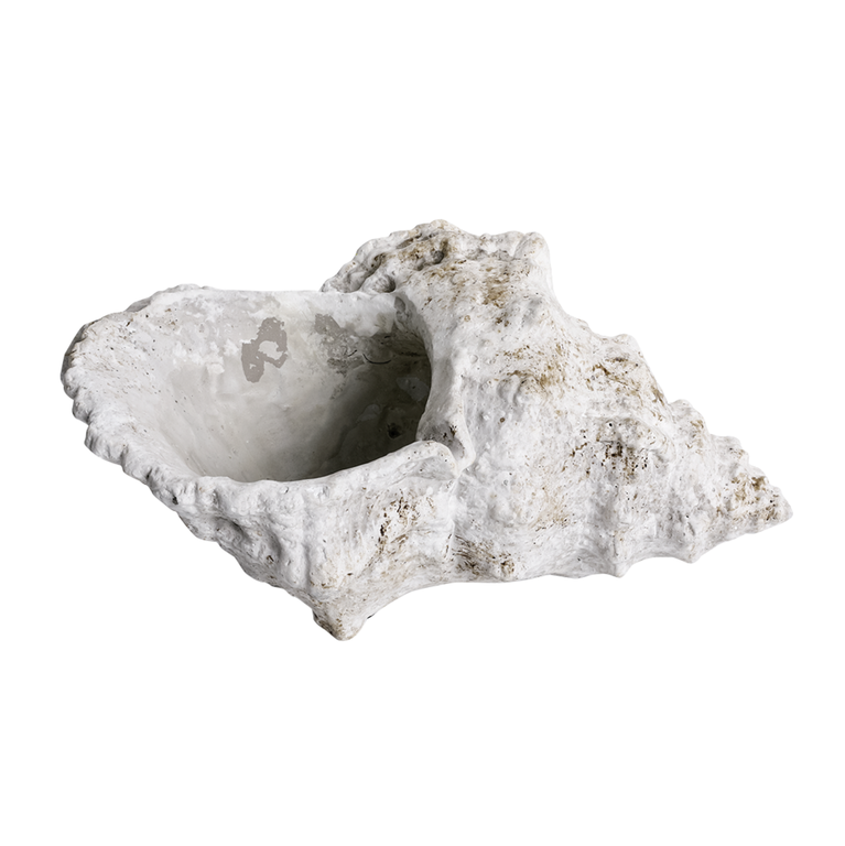 "Fillable maritime decoration shell grey  "