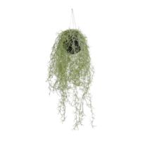"Moss ball artificial hanging plant"
