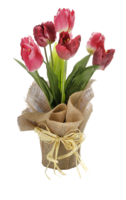 Tulpe im Jutetopf  48cm 