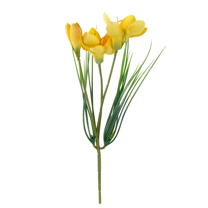 Krokus  5er  Set  30x10cm  (HxB)