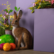 FS22_Easter-Flowers-2.jpg