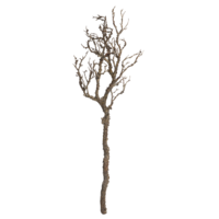 Deko-Ast  90  cm  lang,  natural  look
