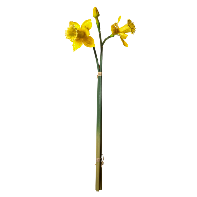 Kunstblume,  Narzissen  Bund  