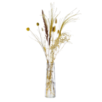 "Dried flower with vase 6,5 cm Ø"