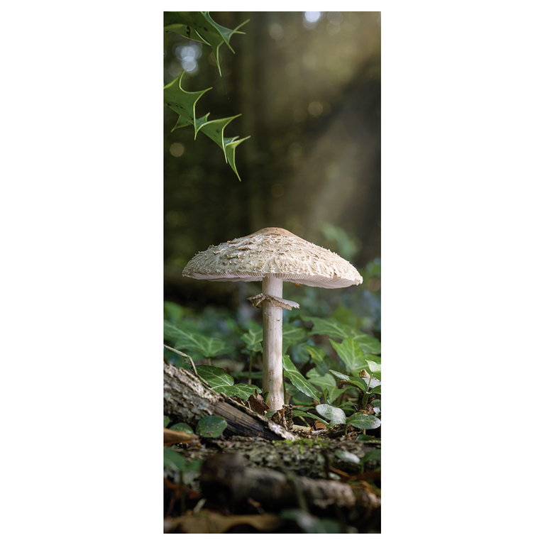 "Fabric banner big mushroom 75 x 180 cm"