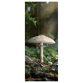 Big Mushroom