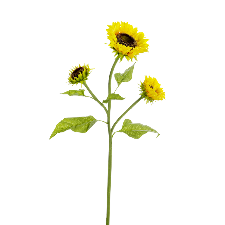 "Deco Sunflower yellow 30 x 87 cm"