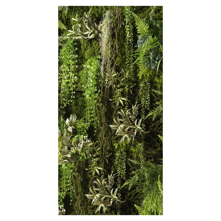 Banner  Green plants 