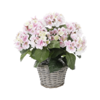 "Hydrangea in basket pink"