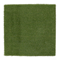 Gras  Paneel  100  x  100  cm