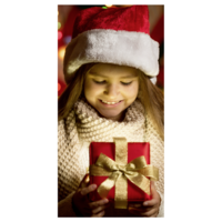 "Fabric banner girl with Christmas present"