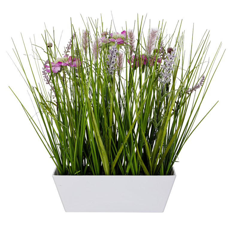 Wiesenblumen  im  Topf