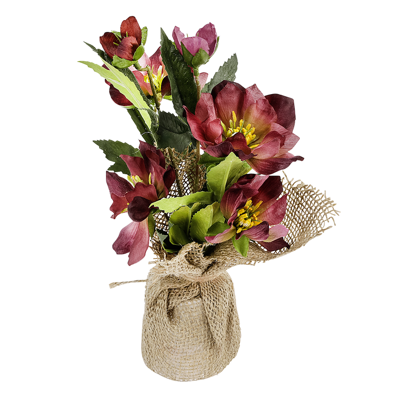 Christrose im Jutesack 25cm,rot