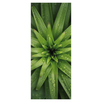 Banner  Ananastop