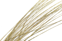 Dekozweig Goldgras 100cm,2Stk.