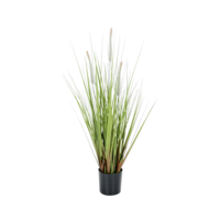 "Artificial Foxtail Grass in Pot 52 cm"