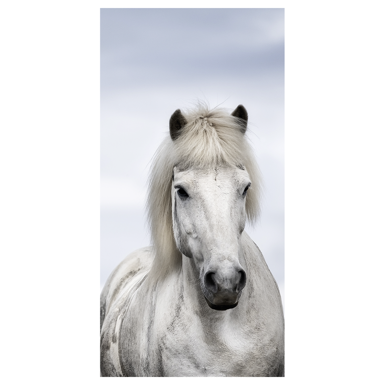 "Fabric banner ""white Icelandic horse"" 100 x 200 cm"