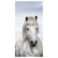 "Fabric banner ""white Icelandic horse"" 100 x 200 cm"